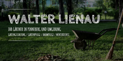 Firmengrafik Branchenverzeichnis